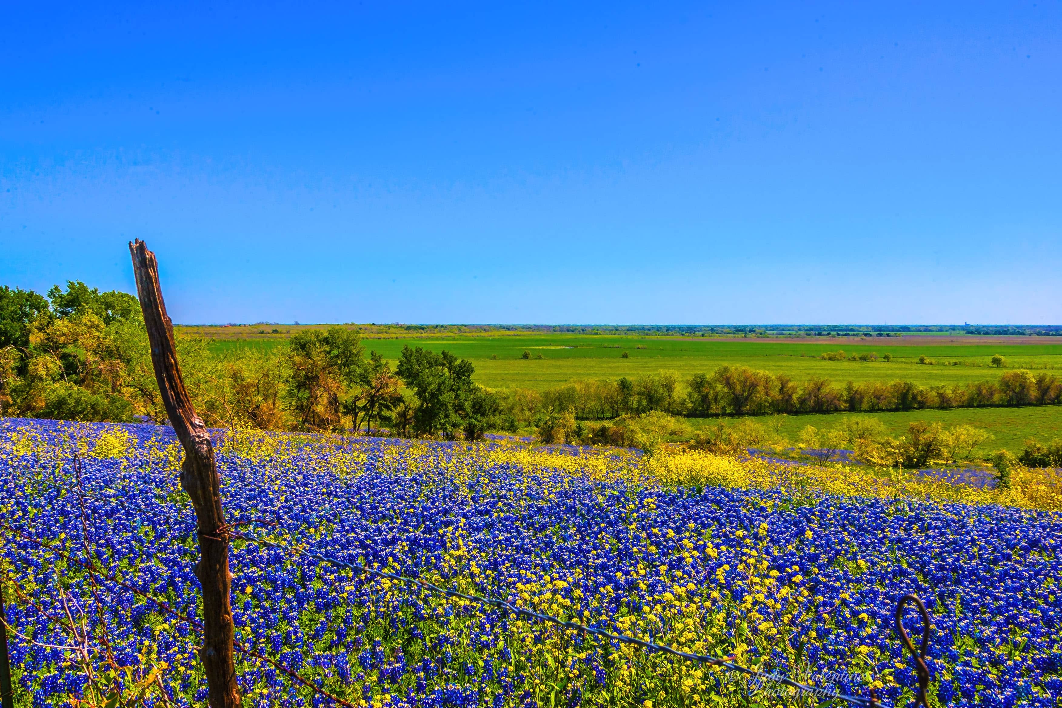写在高考前的最后释怀