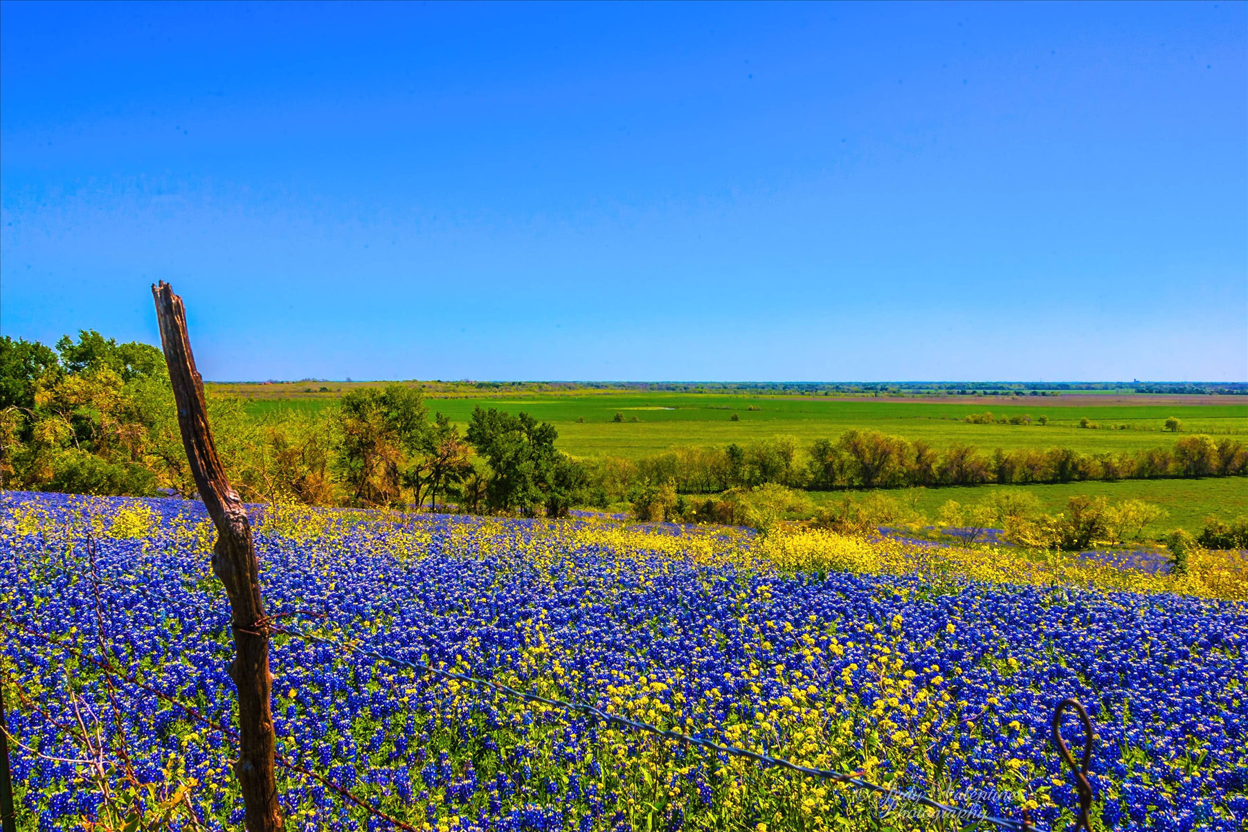 有多少人会像我这样