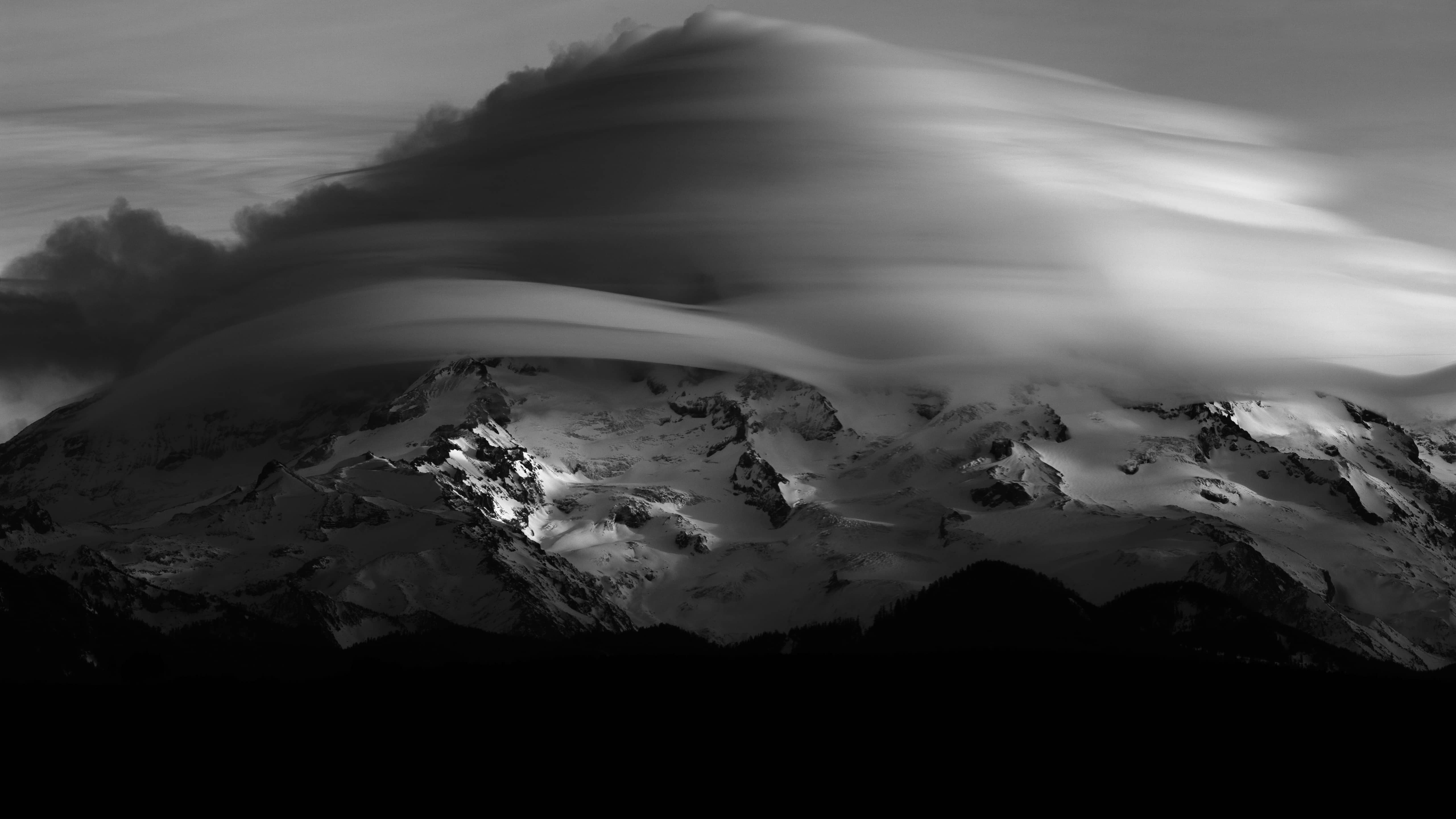 高考、玉兰花、幽幽花香……