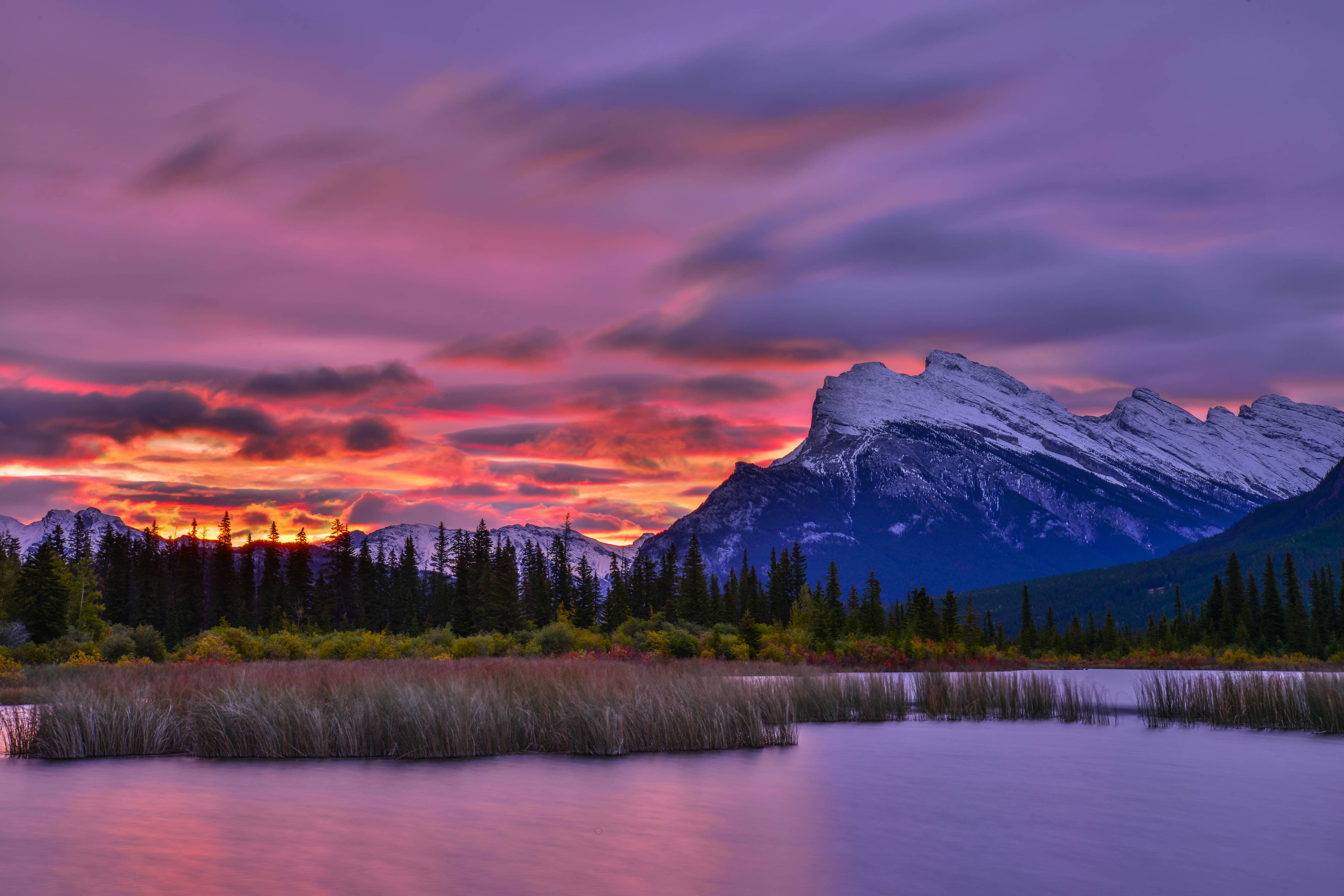 人活着，真贱…