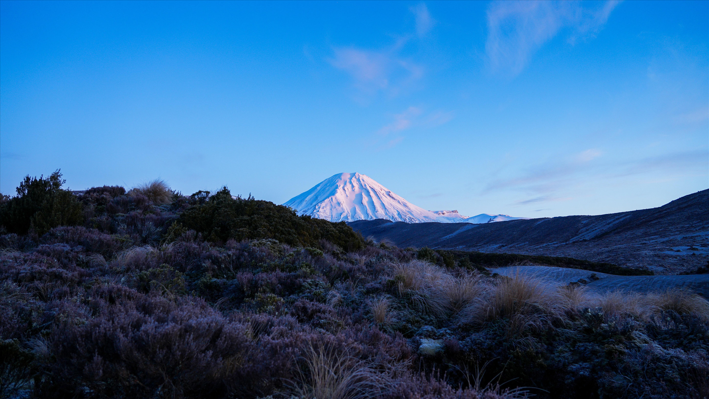今夜，我用淡泊的心守侯自己