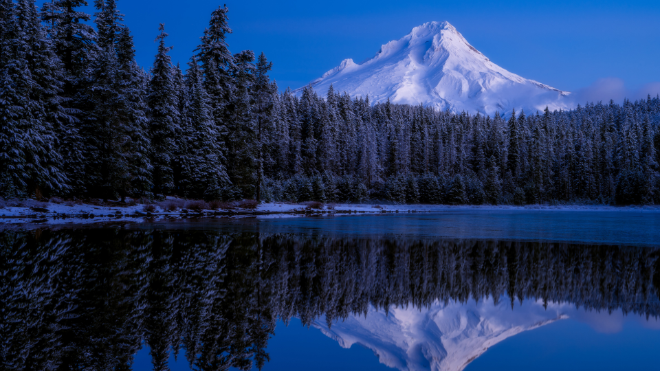 船到桥头自然直…坚持