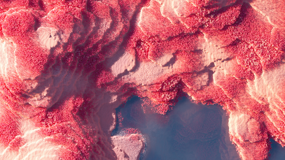 5.20….我还会一直这样下去的