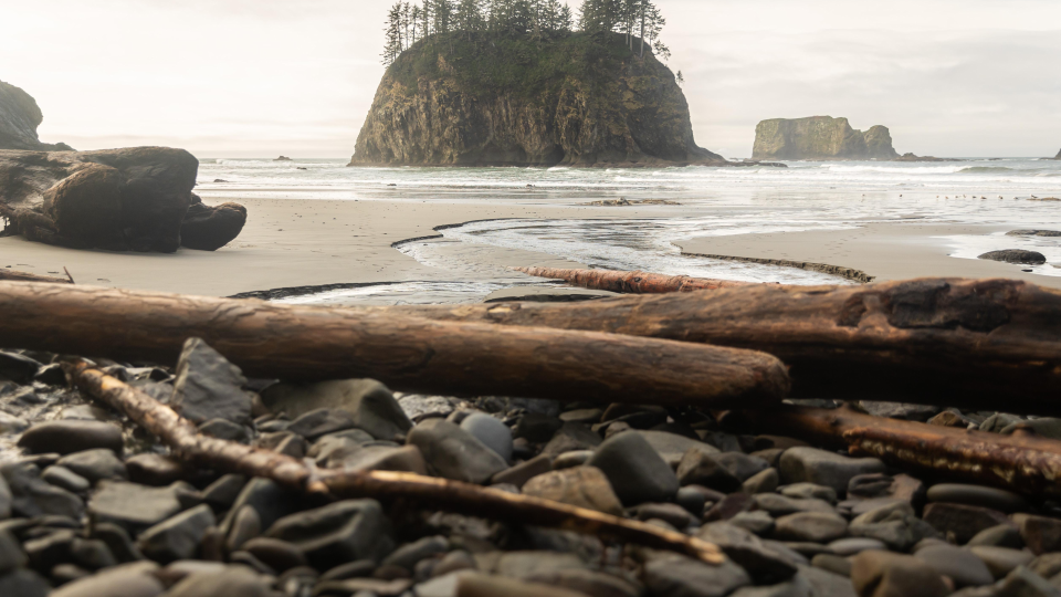 这一切，和谁说