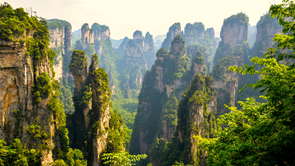 许愿，世界末日