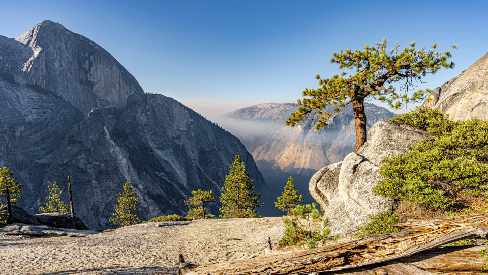 这一步,我该怎么办？