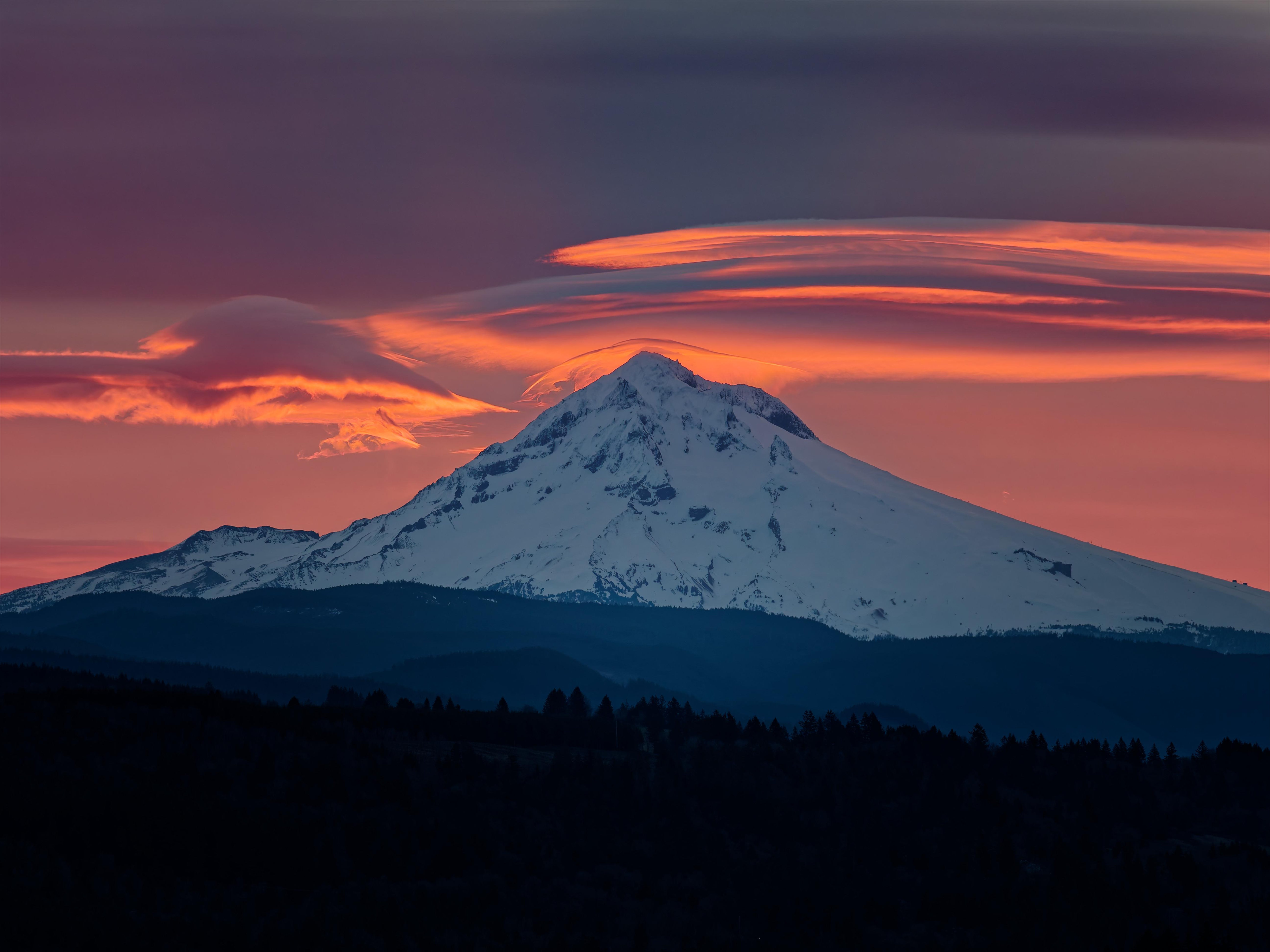 被窝是青春的坟墓