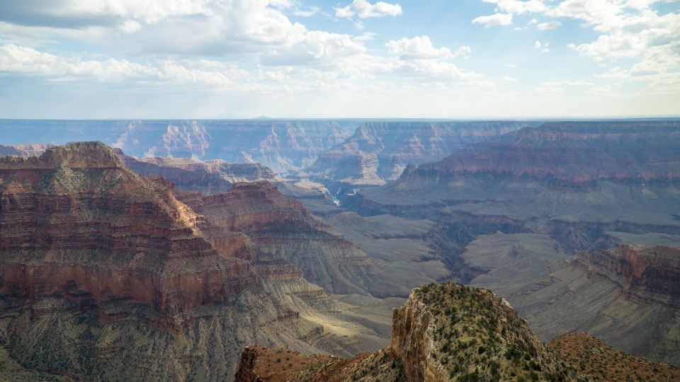 就这么轻轻的放下，说声再见