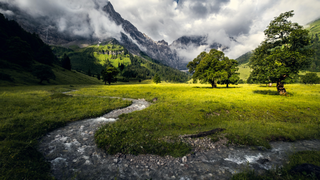 七月，我的无奈