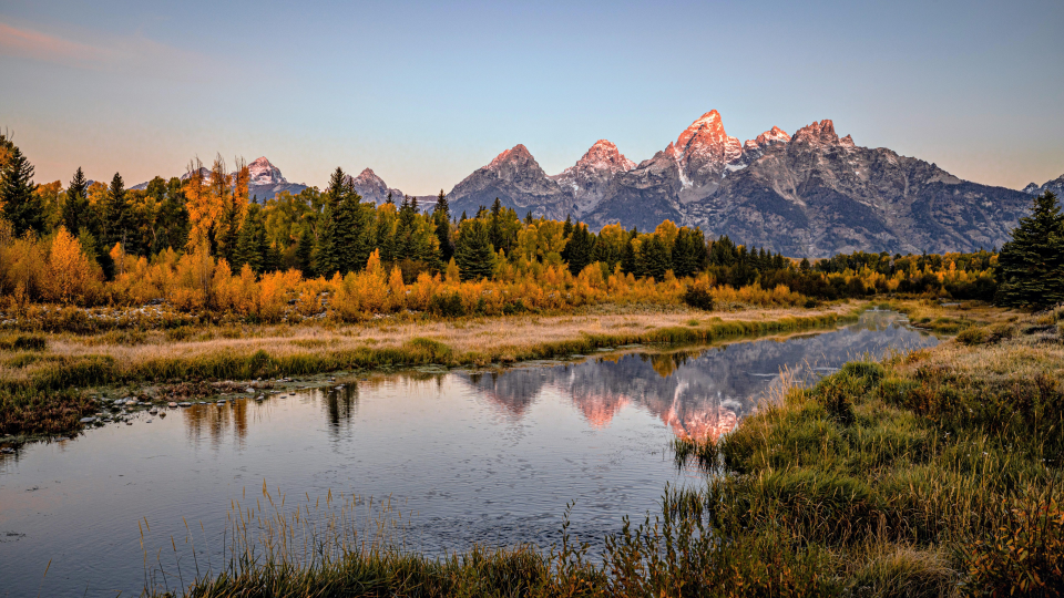 寂寞!我写给自己看