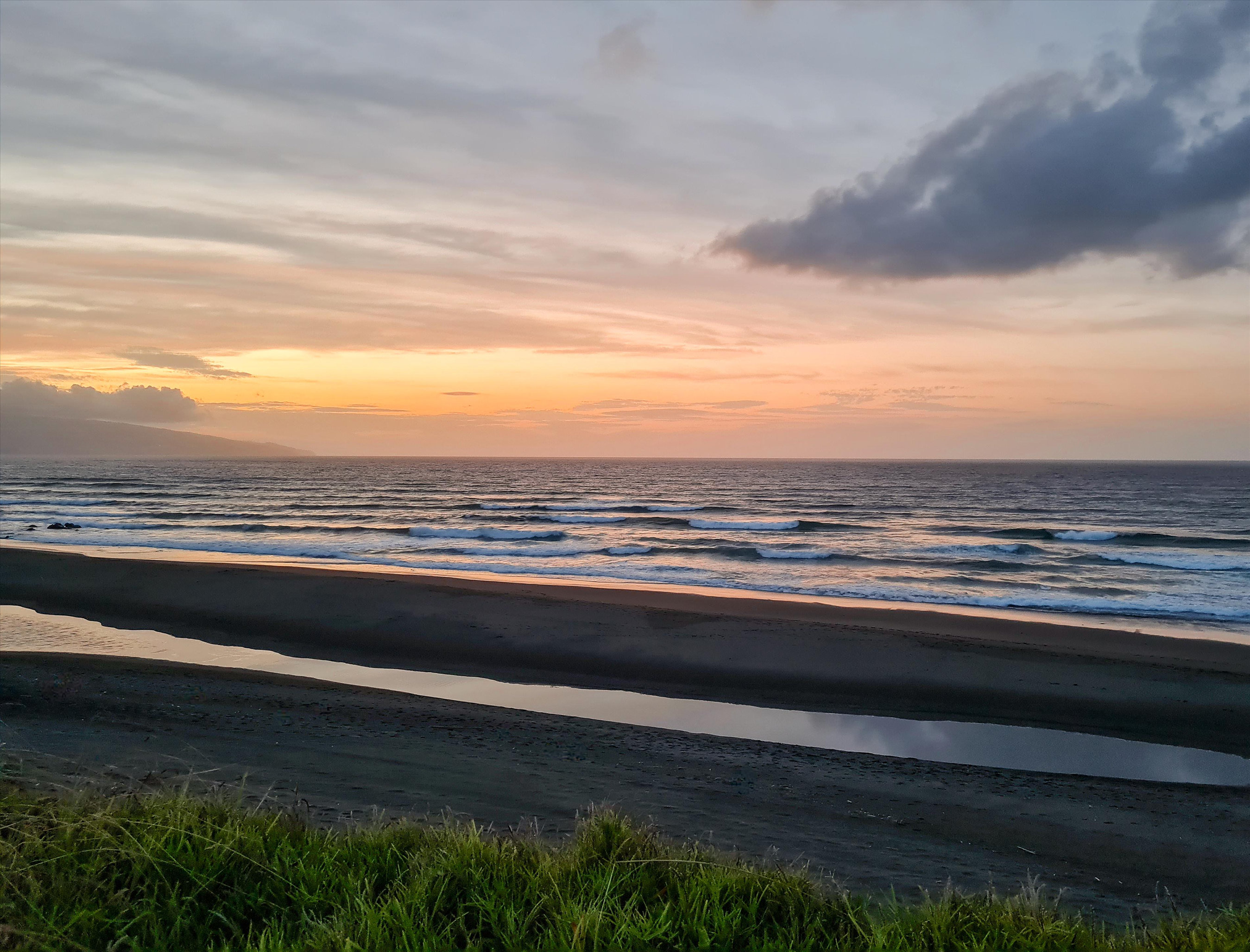 再卑微的生命也是有些人心中的珍宝