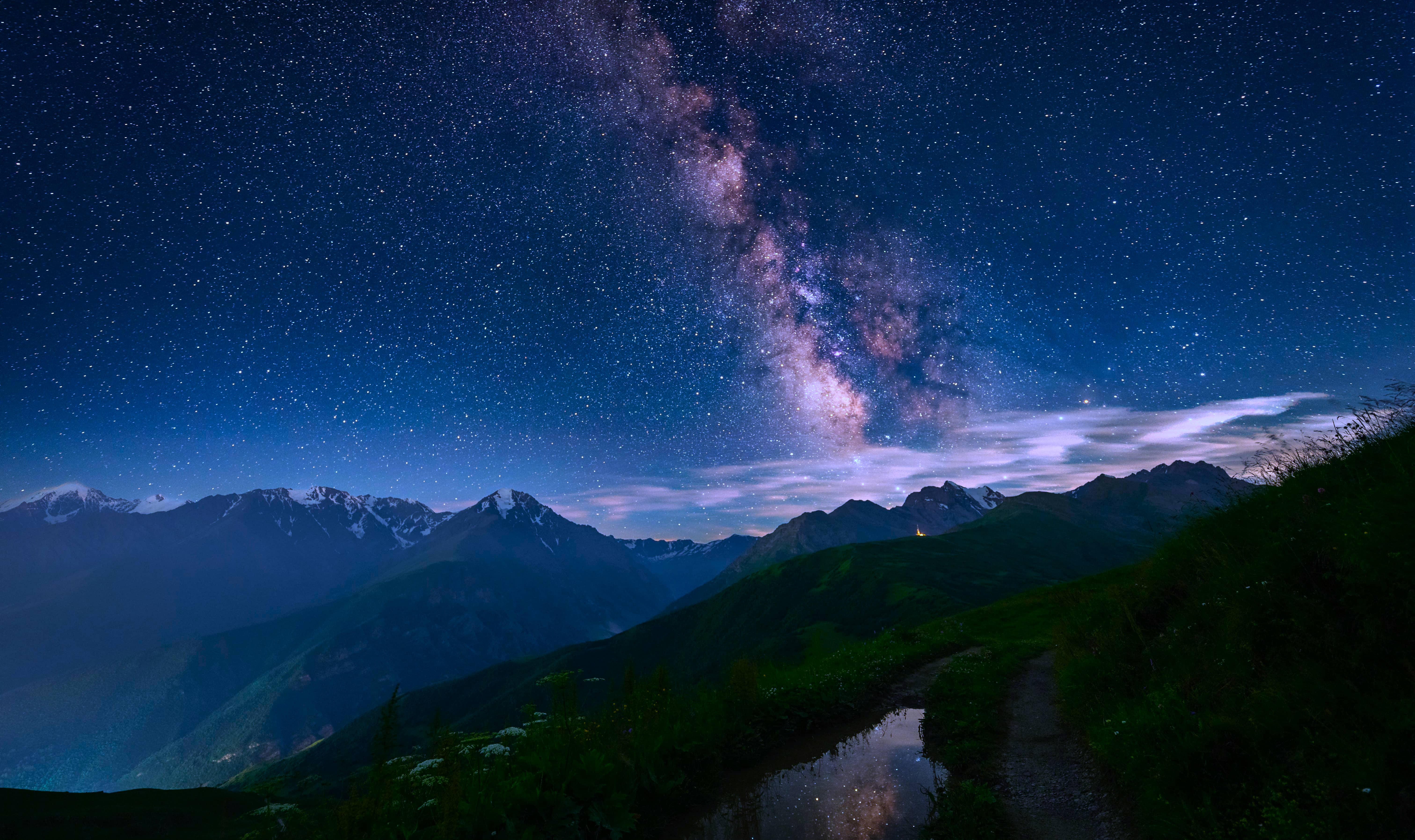 四叶草啊，伤心啊