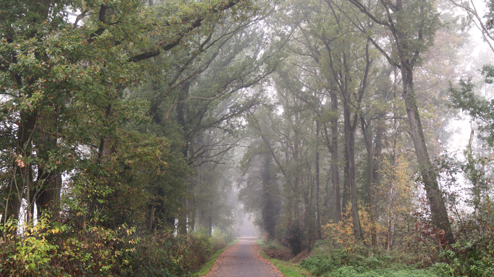 恩…就《无题》吧