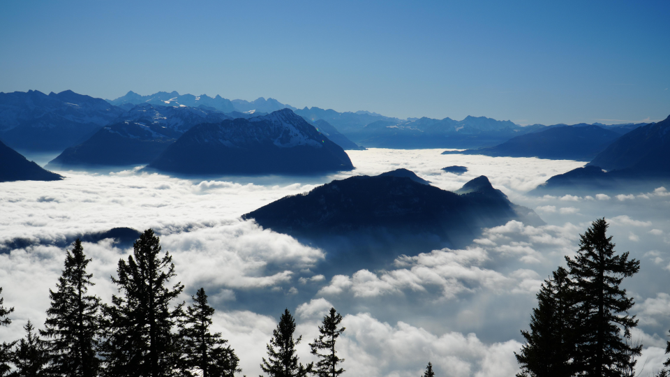 人，卑微如蚁 ——读《我已经是魔鬼了》所写
