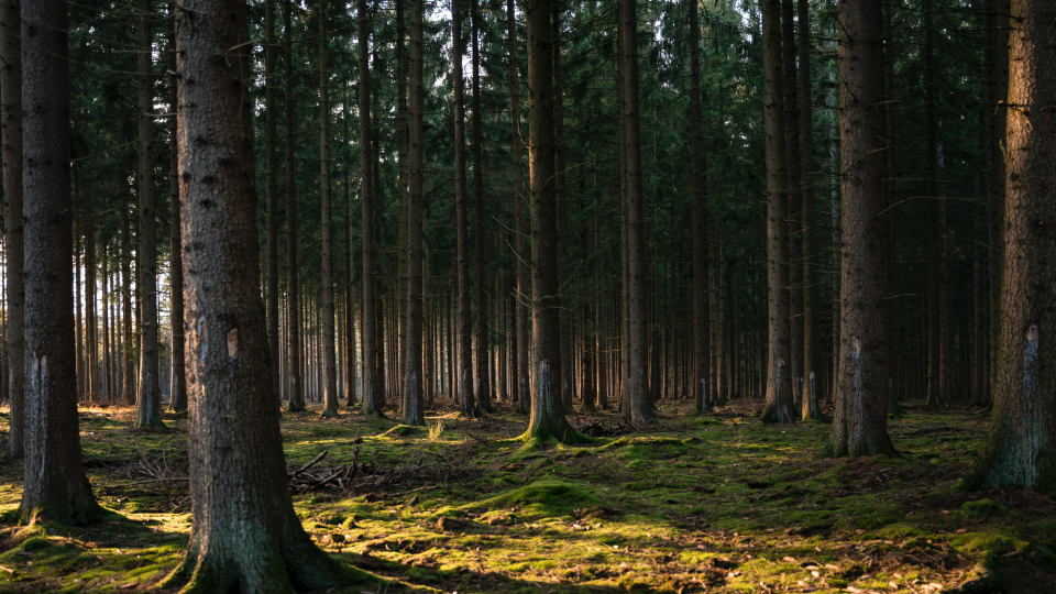 虚假笑容的背后…