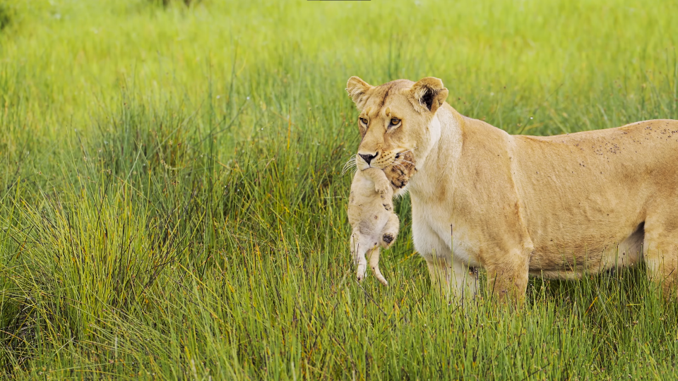 高考倒计时…56天·