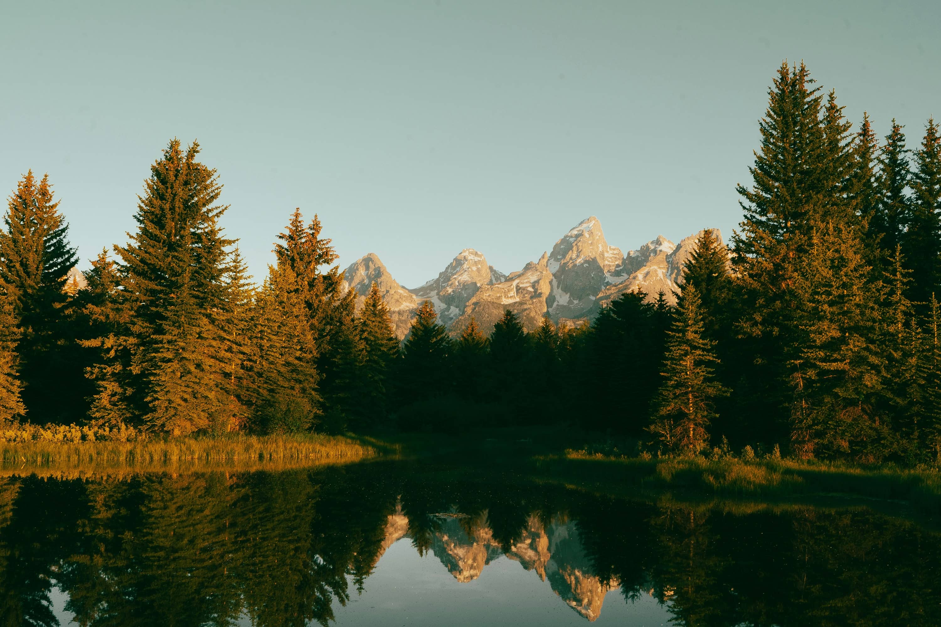 注定要躲在安静的角落