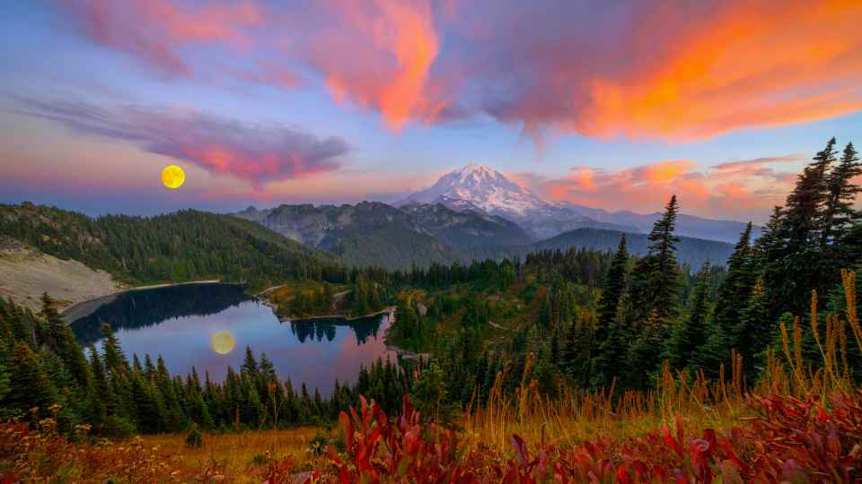 抱歉，我忘了…