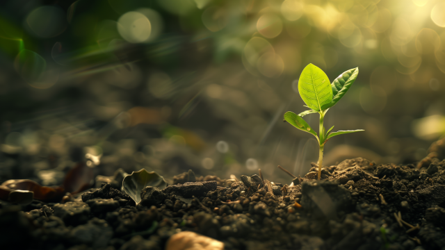 写在高考前的最后释怀