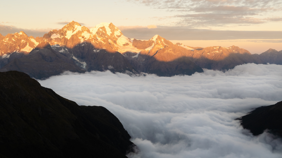 高考、玉兰花、幽幽花香……