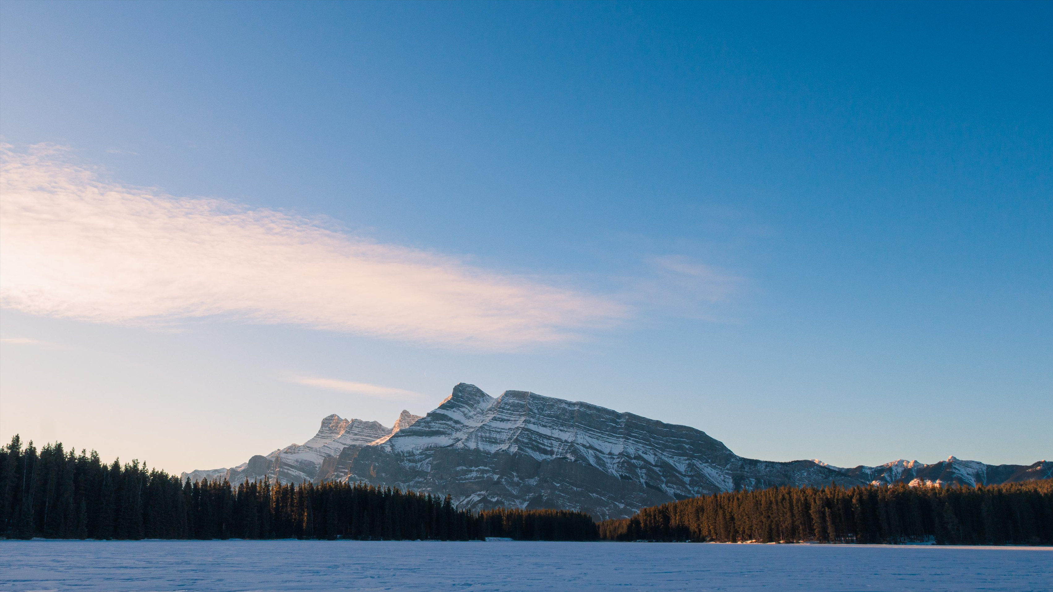 七月，我的无奈