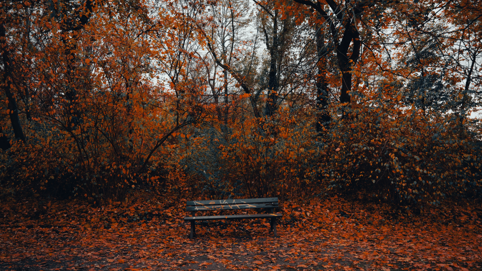 了结，只是一个开始，开始，又将是一段了结。