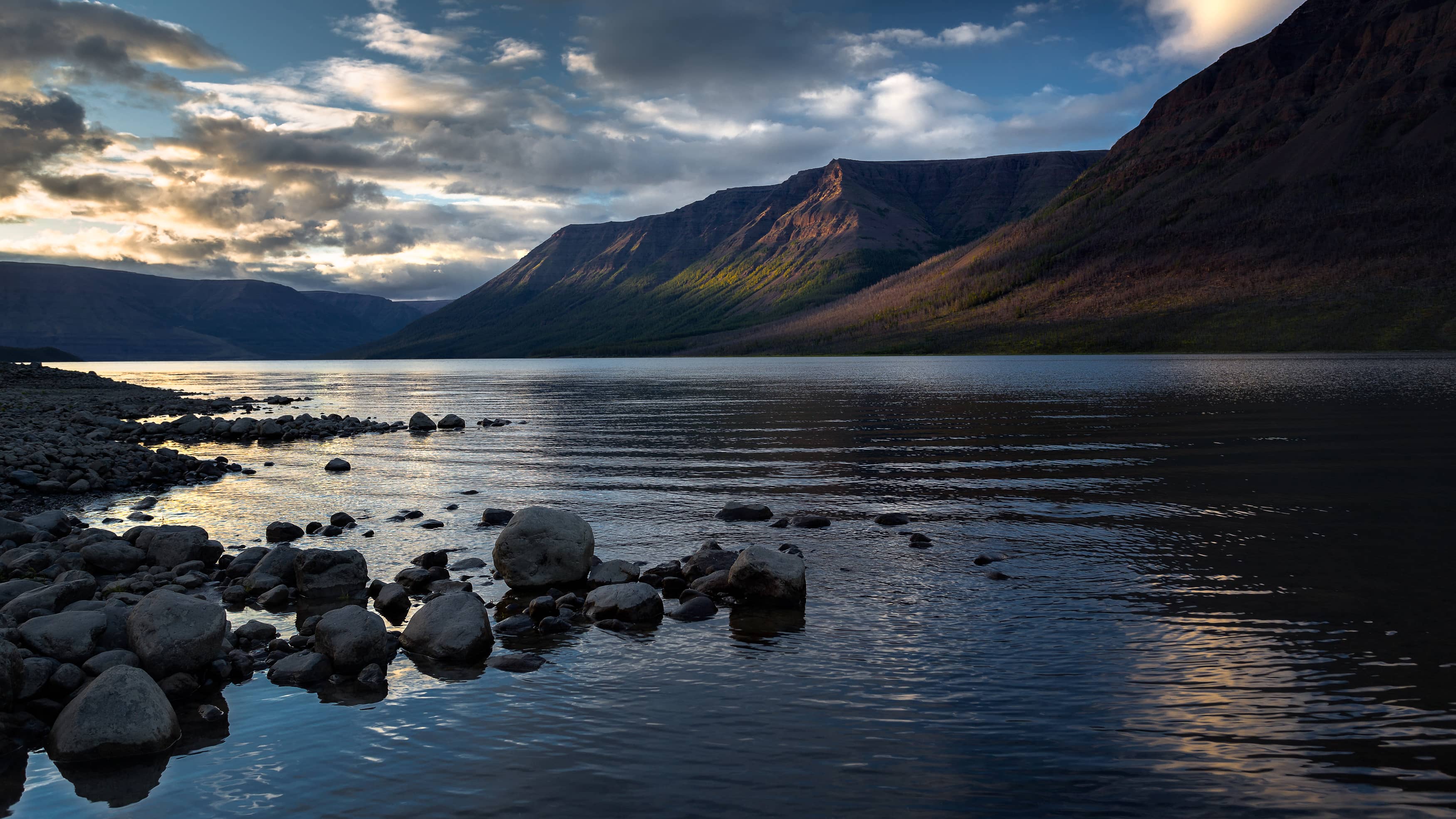 我很怪，是不是？